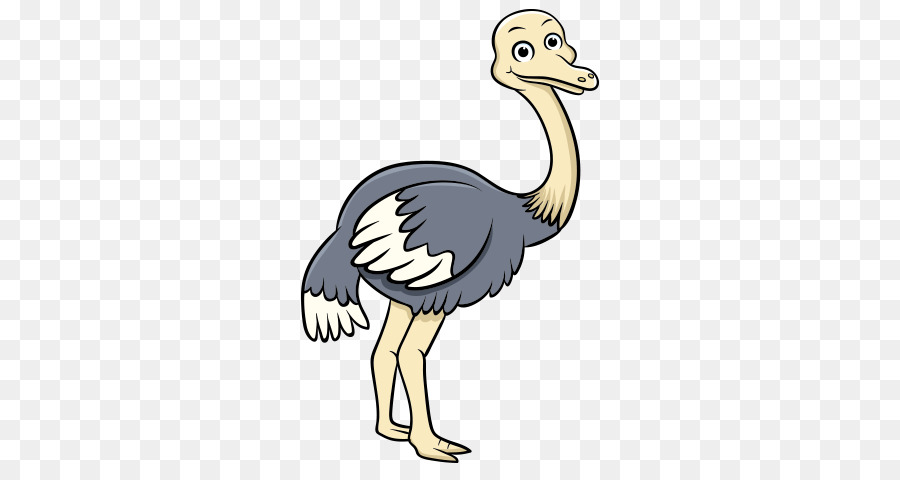Common ostrich Clip art Portable Network Graphics Bird GIF -  png download - 530*472 - Free Transparent Common Ostrich png Download.