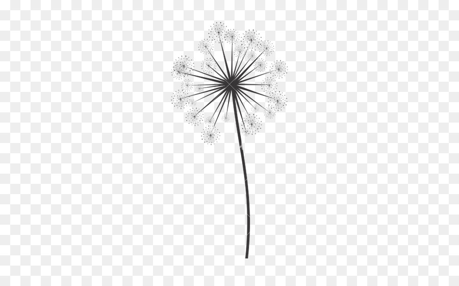 Black and white Monochrome photography Tree Flower - dandelion png download - 526*550 - Free Transparent Black And White png Download.