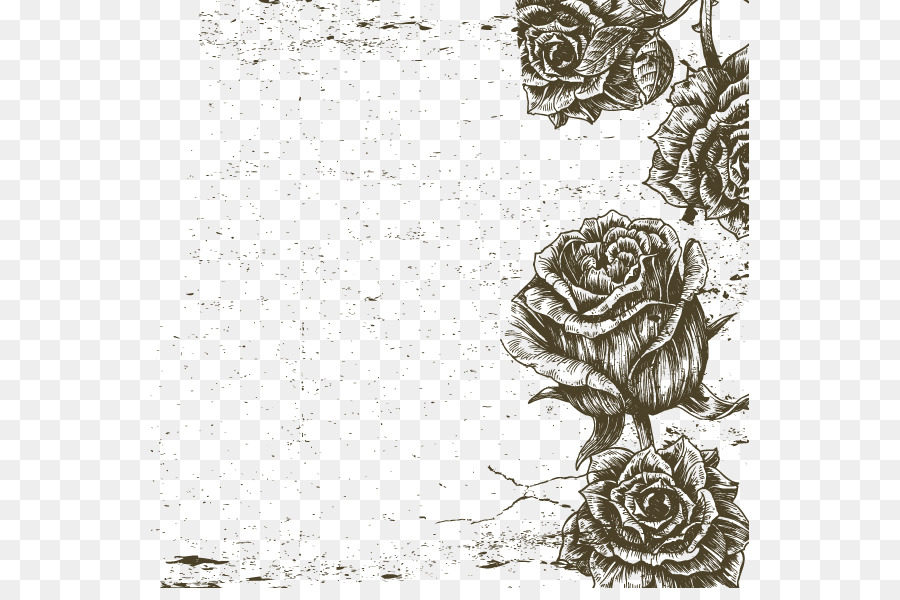 Black and white Beach rose Visual arts - Black and white roses border Vector Image png download - 599*588 - Free Transparent Black And White png Download.