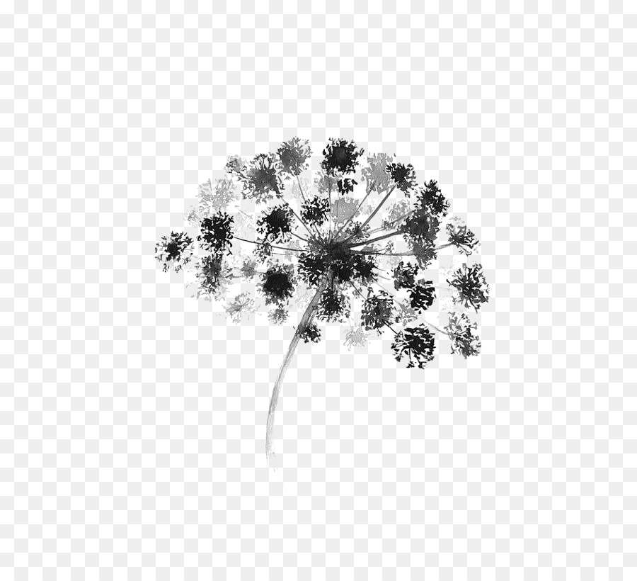 Black and white Watercolor painting Flower Graphic design - Black flower printing png download - 564*805 - Free Transparent Black And White png Download.