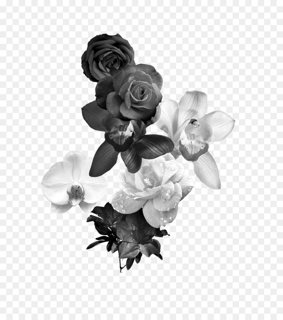 Black and white Flower Monochrome photography - Black and white roses png download - 640*1010 - Free Transparent Black And White png Download.