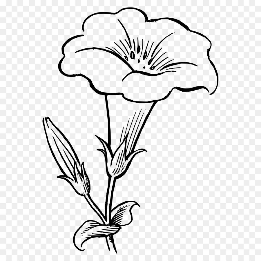 Black and white Drawing Floral design Clip art - flower png download - 2936*2936 - Free Transparent Black And White png Download.