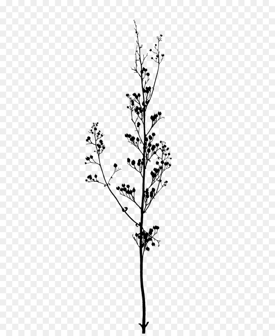 Twig Branch A Buddhist spectrum Tree - black and white flowers branch png download - 732*1092 - Free Transparent Twig png Download.