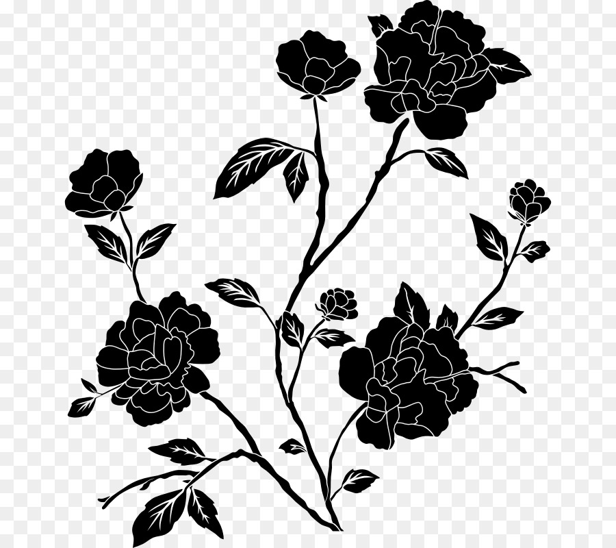 Flower Black and white Clip art - black and white png download - 712*800 - Free Transparent Flower png Download.