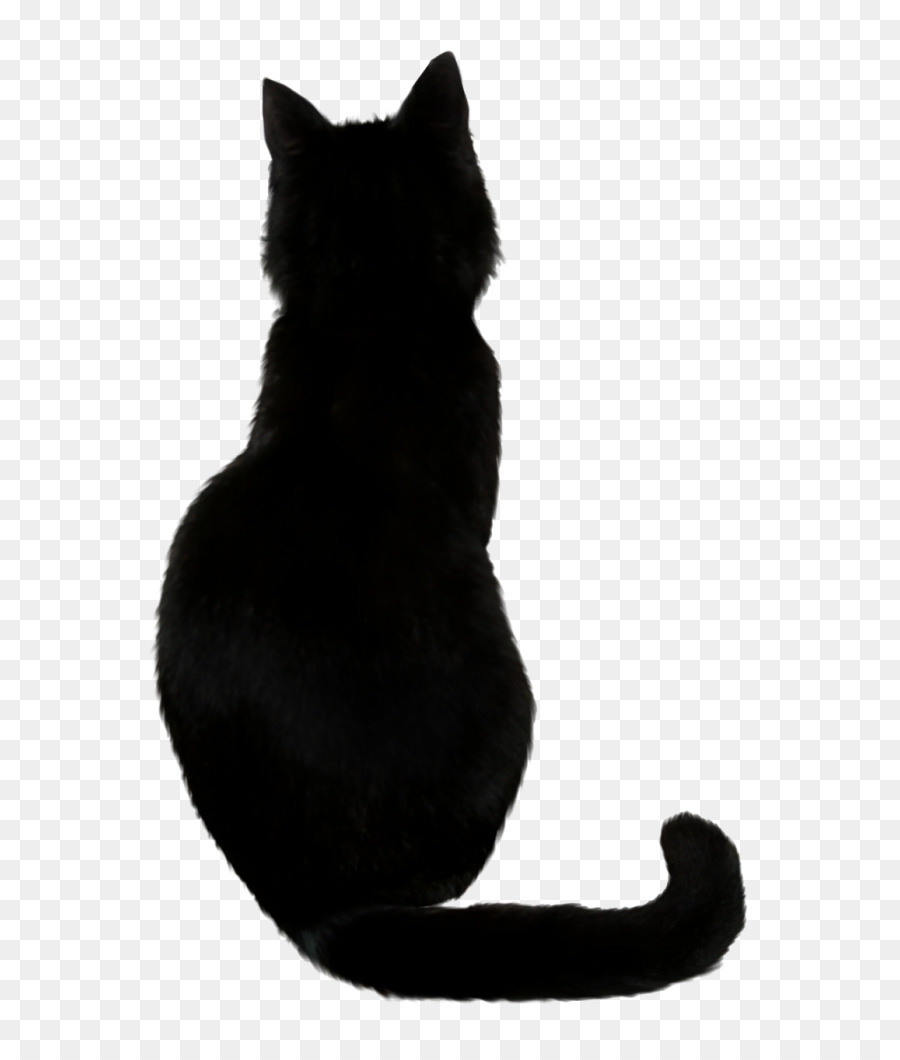 Black cat Drawing Kitten - Cat png download - 700*1050 - Free Transparent  png Download.