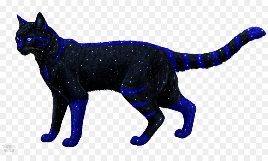 Black cat Whiskers Dog Drawing - Cat png download - 2800*1618 - Free Transparent Black Cat png Download.