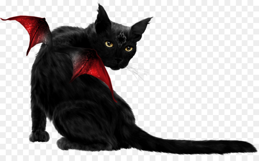 Black cat Bombay cat - others png download - 1600*981 - Free Transparent Black Cat png Download.