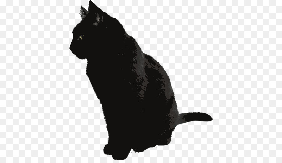 Russian Blue Kitten Black cat - kitten png download - 512*512 - Free Transparent Russian Blue png Download.