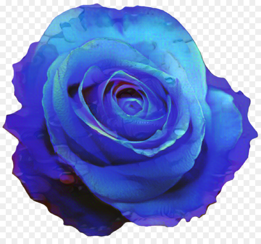 Portable Network Graphics Blue rose Clip art Blue flower -  png download - 1023*936 - Free Transparent Blue Rose png Download.