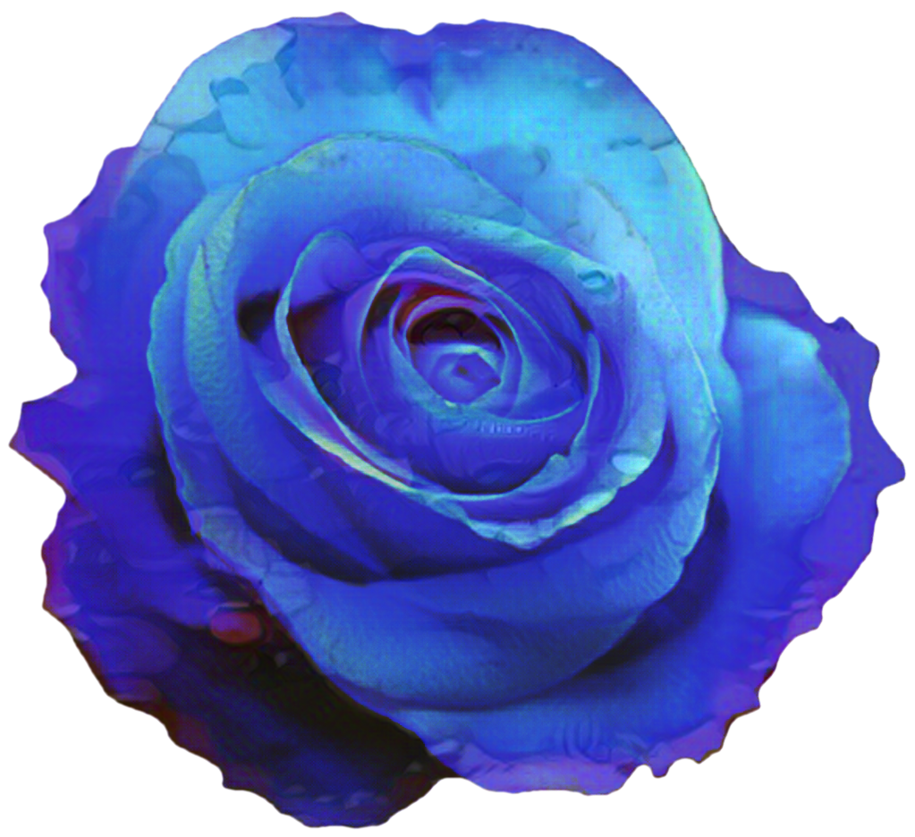 Portable Network Graphics Blue rose Clip art Blue flower - png download ...