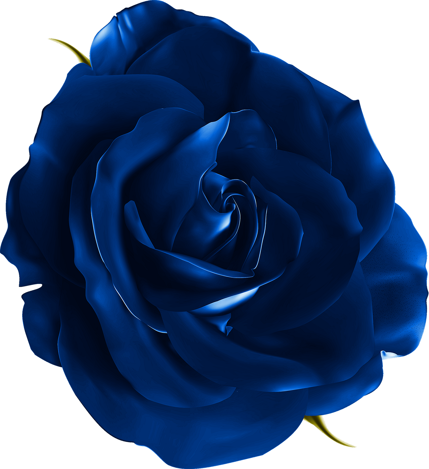 Navy Blue Flower Png - vrogue.co