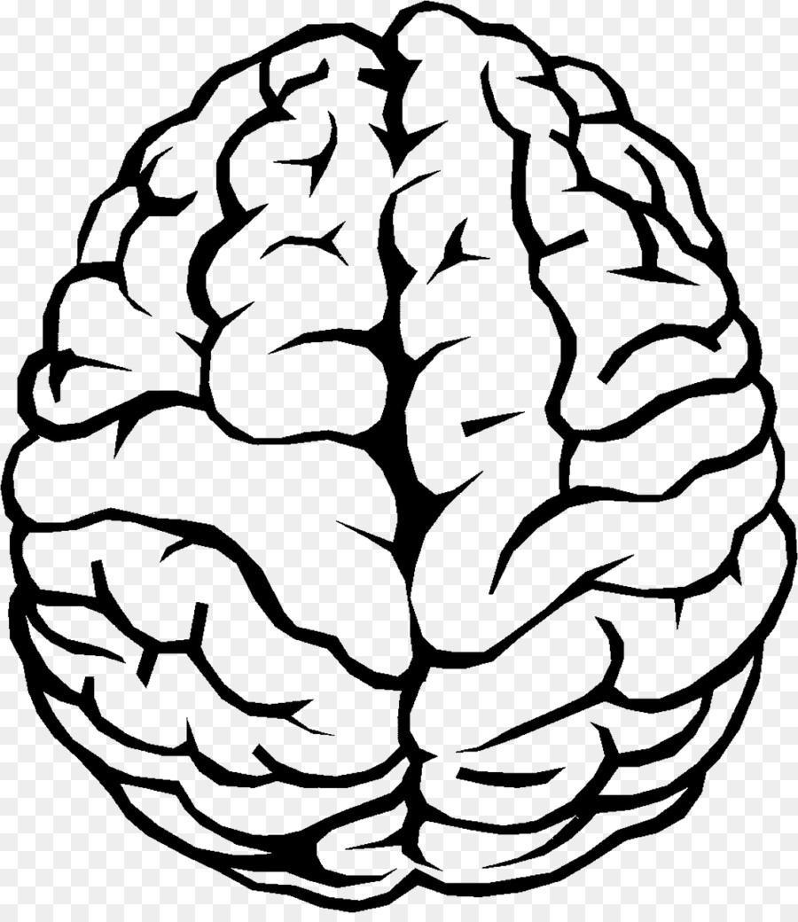 Outline of the human brain Clip art - Brain png download - 1154*1321 - Free Transparent  png Download.