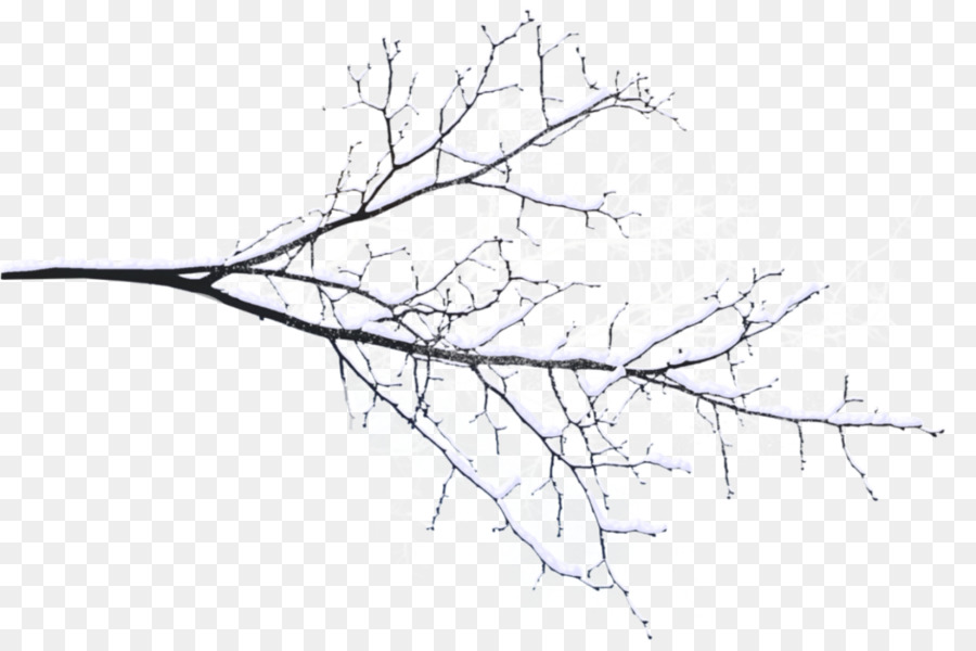 Branch Tree Twig Snow - branches png download - 1280*845 - Free Transparent Branch png Download.
