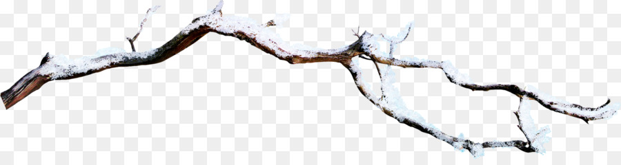 Branch Snow - Snow branch png download - 2925*753 - Free Transparent Branch png Download.