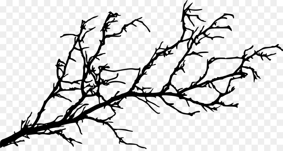 Branch Tree Silhouette Twig - branches png download - 2000*1053 - Free Transparent Branch png Download.