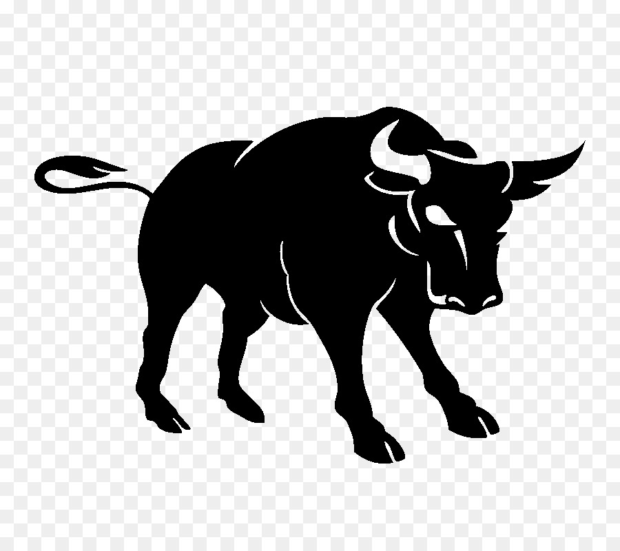 Bull Dairy cattle Ox Photography - bull png download - 800*800 - Free Transparent Bull png Download.