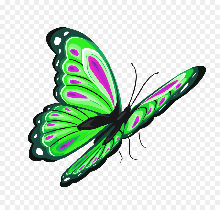 Butterfly Clip art - Green Butterfly Clipart png download - 3804*3632 - Free Transparent Butterfly png Download.