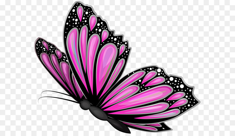 Butterfly Pink Clip art - Pink Butterfly Transparent PNG Clip Art Image png download - 8000*6390 - Free Transparent Butterfly png Download.