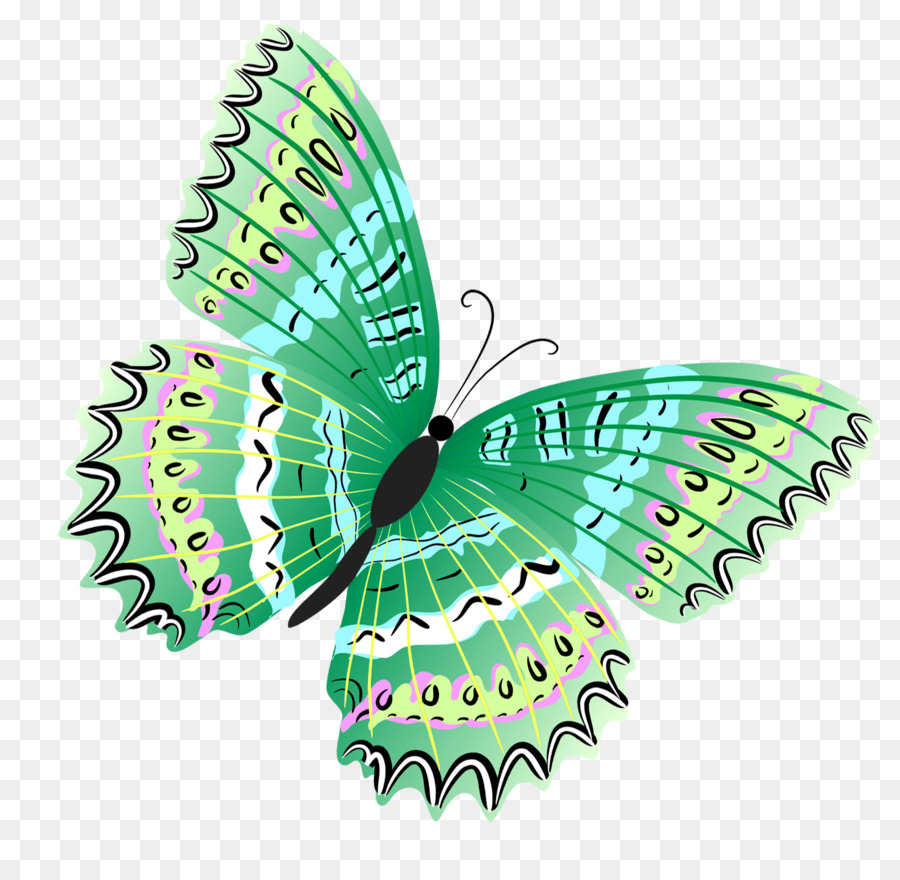 Butterfly Green Clip art - Green Butterfly Clipart png download - 1629*1560 - Free Transparent Butterfly png Download.