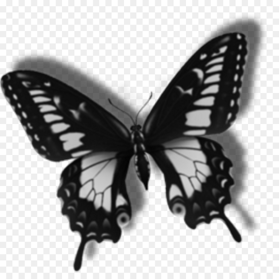 Centerblog Image Butterfly GIF -  png download - 1024*1024 - Free Transparent  Blog png Download.