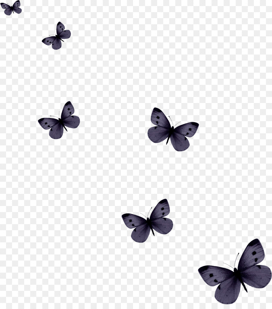 Маленькие бабочки