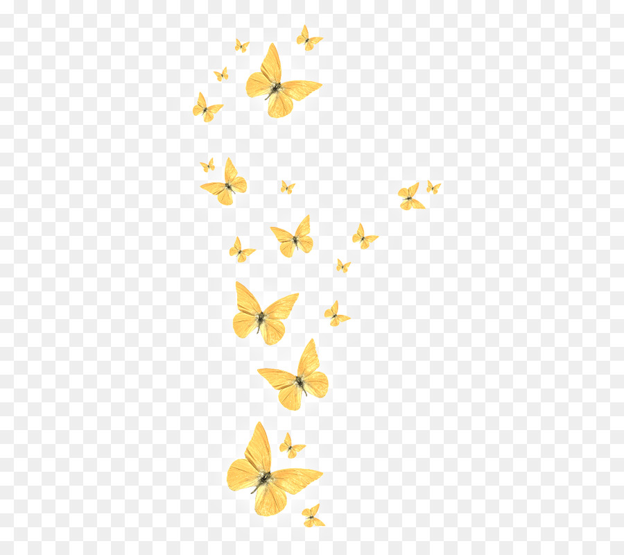 Butterfly - Golden butterfly png download - 422*800 - Free Transparent Butterfly png Download.