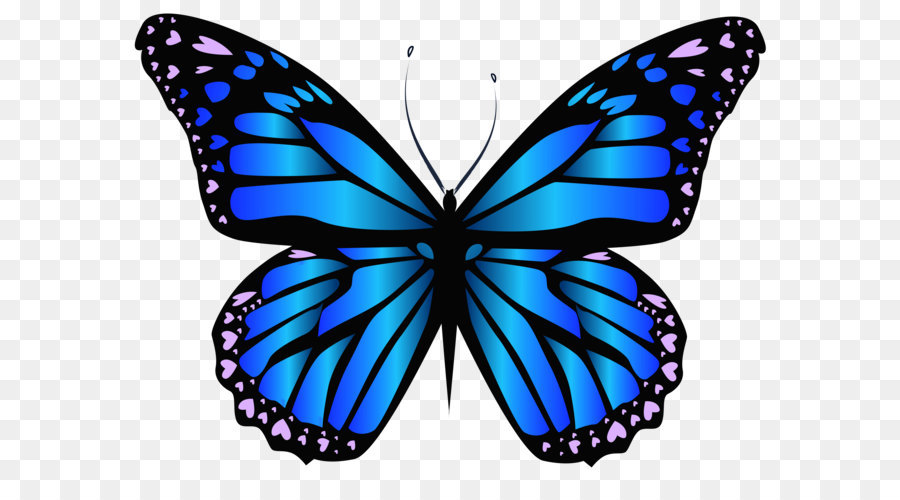Butterfly Purple Blue Clip art - Blue Butterfly PNG Clipar Image png download - 6347*4697 - Free Transparent Butterfly png Download.