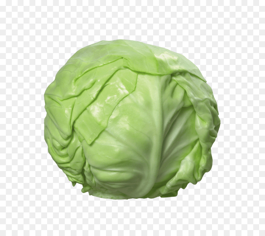 Napa cabbage Cauliflower Vegetable Portable Network Graphics - cabbage png download - 800*800 - Free Transparent Cabbage png Download.
