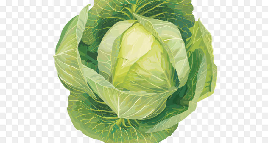 Cabbage Clip art Collard greens Portable Network Graphics Transparency - rutabaga png vegetables cabbage png download - 640*480 - Free Transparent Cabbage png Download.