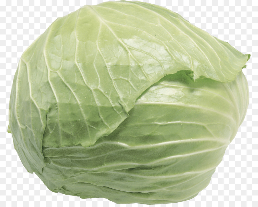 Napa cabbage Chinese cabbage Vegetable Food - cabbage png download - 850*712 - Free Transparent Cabbage png Download.