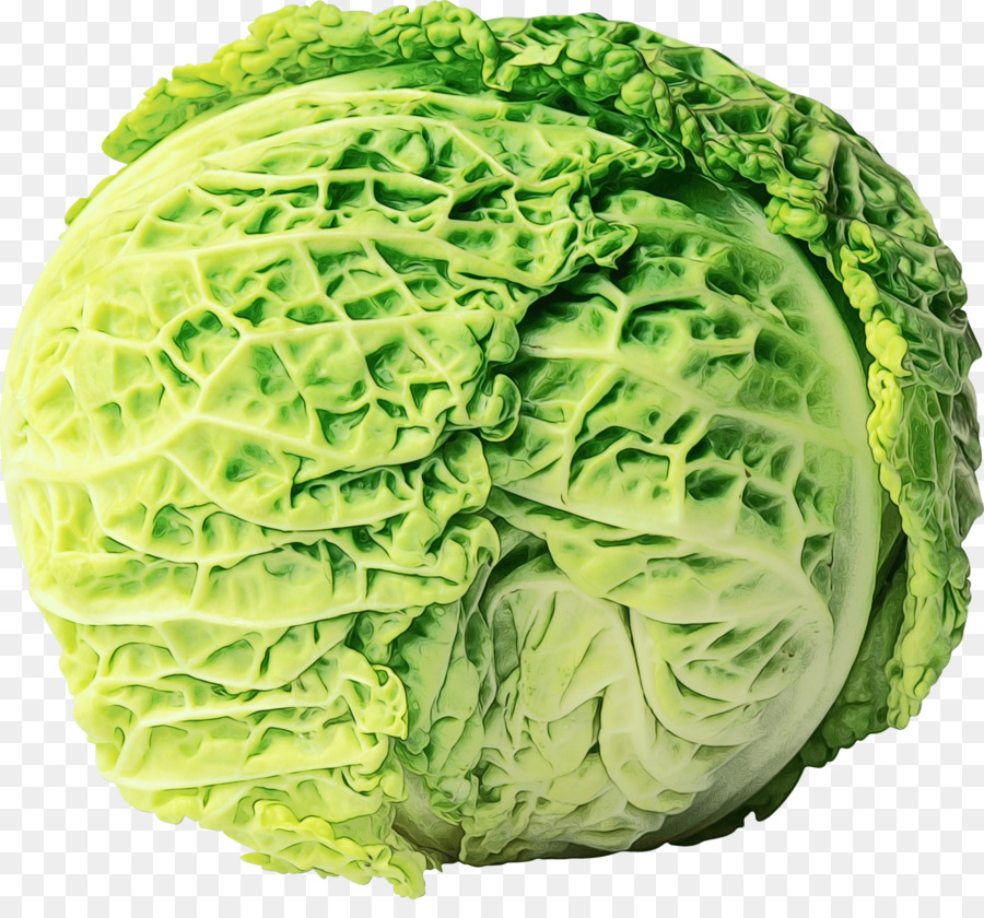 Red cabbage Vegetable Savoy cabbage Cauliflower -  png download - 2661*2432 - Free Transparent Cabbage png Download.