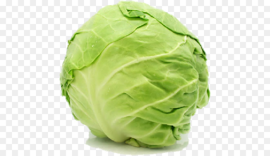 Red cabbage Brussels sprout Napa cabbage Cellophane noodles - Cabbage Free Png Image png download - 506*520 - Free Transparent  png Download.