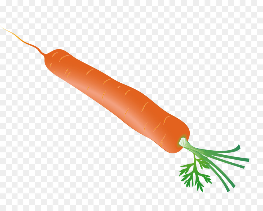 Carrot - Carrot vector png download - 1740*1378 - Free Transparent Carrot png Download.