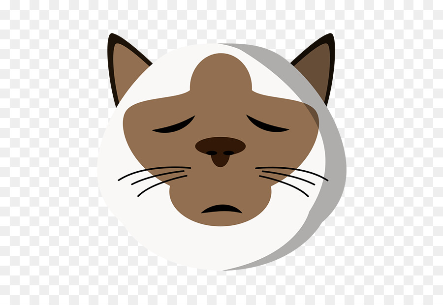Whiskers Kitten Cat Snout Dog - kitten png download - 618*618 - Free Transparent Whiskers png Download.
