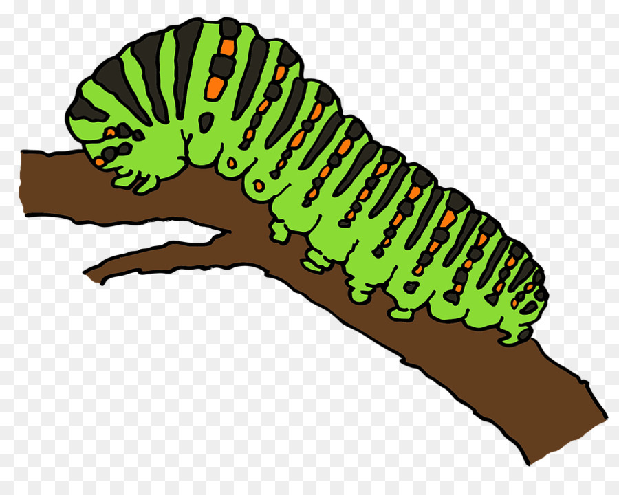 Caterpillar Clip art - Lying on the branches caterpillars png download ...