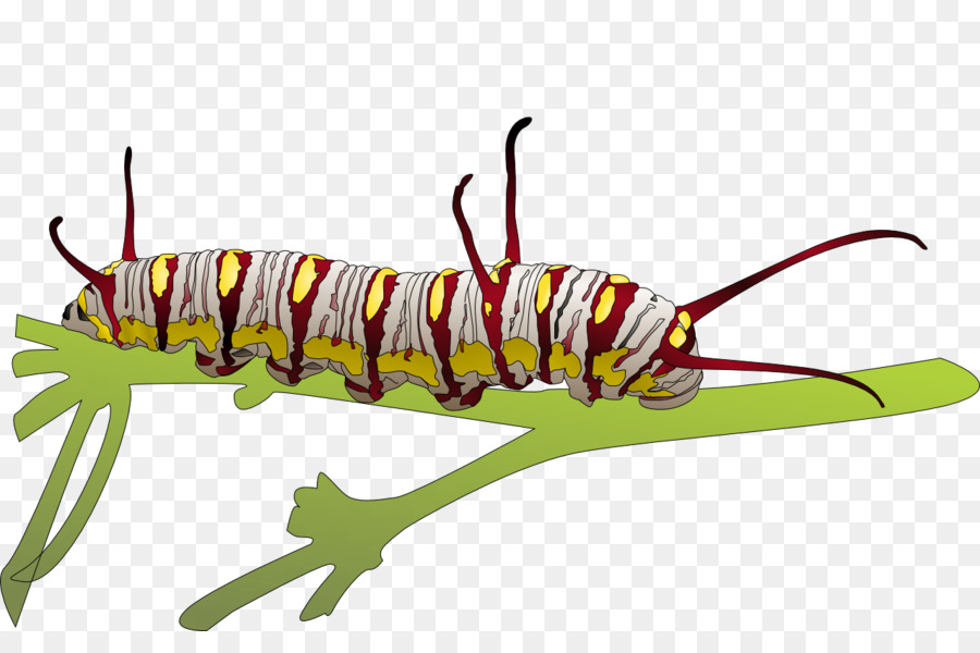 Caterpillar Clip art - Lying on the branches caterpillars png download ...