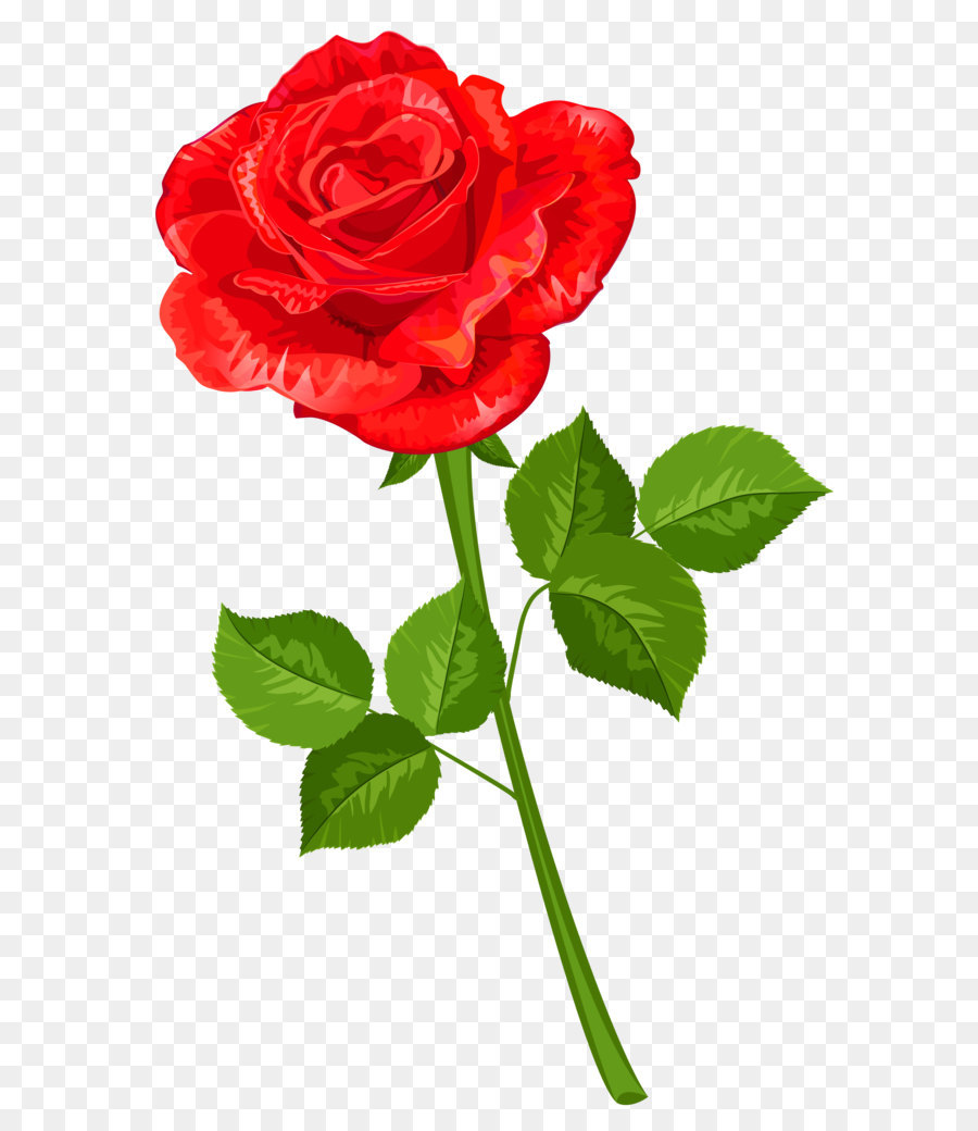 Flower Drawing Rose Clip art - Rose Transparent PNG Clipart png download - 2980*4743 - Free Transparent Mother s Day png Download.