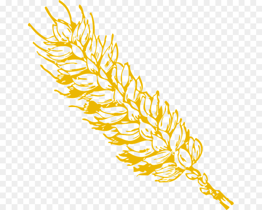 Wheat Grain Clip art - wheat png download - 707*720 - Free Transparent Wheat png Download.