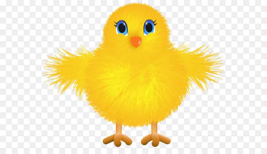 Yellow-hair chicken Clip art - Cute Yellow Chicken Transparent PNG Clip Art Image png download - 6225*4895 - Free Transparent Chicken png Download.