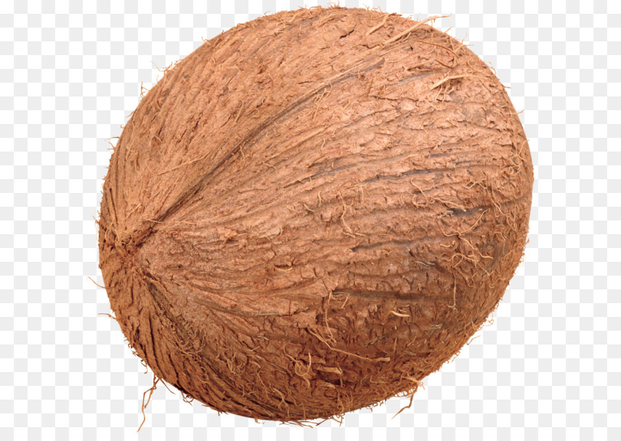 Coconut PNG image png download - 2613*2524 - Free Transparent Coconut png Download.