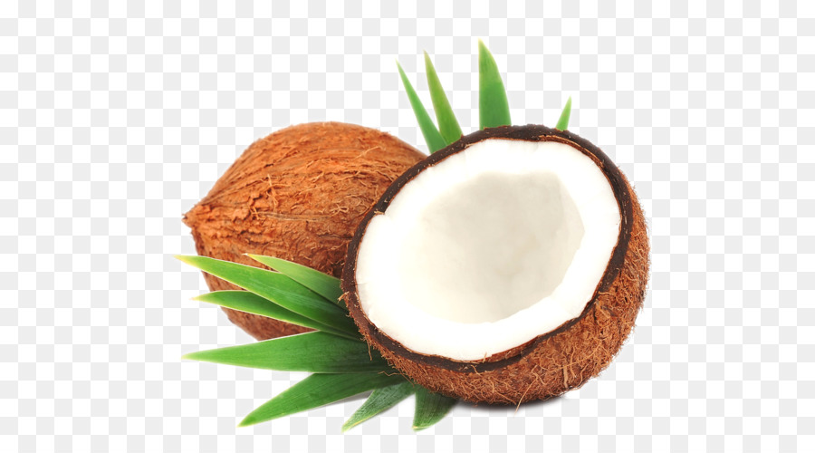 Coconut milk Coconut oil Leaf Stock photography - coconut png download - 658*499 - Free Transparent Coconut png Download.
