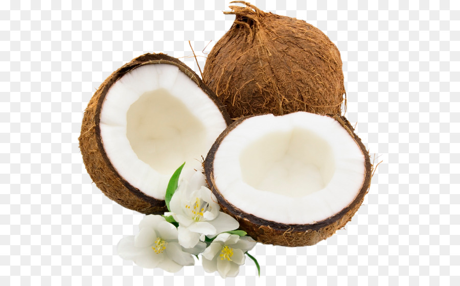 Coconut water Juice Milk - cocos png download - 600*555 - Free Transparent Coconut Water png Download.