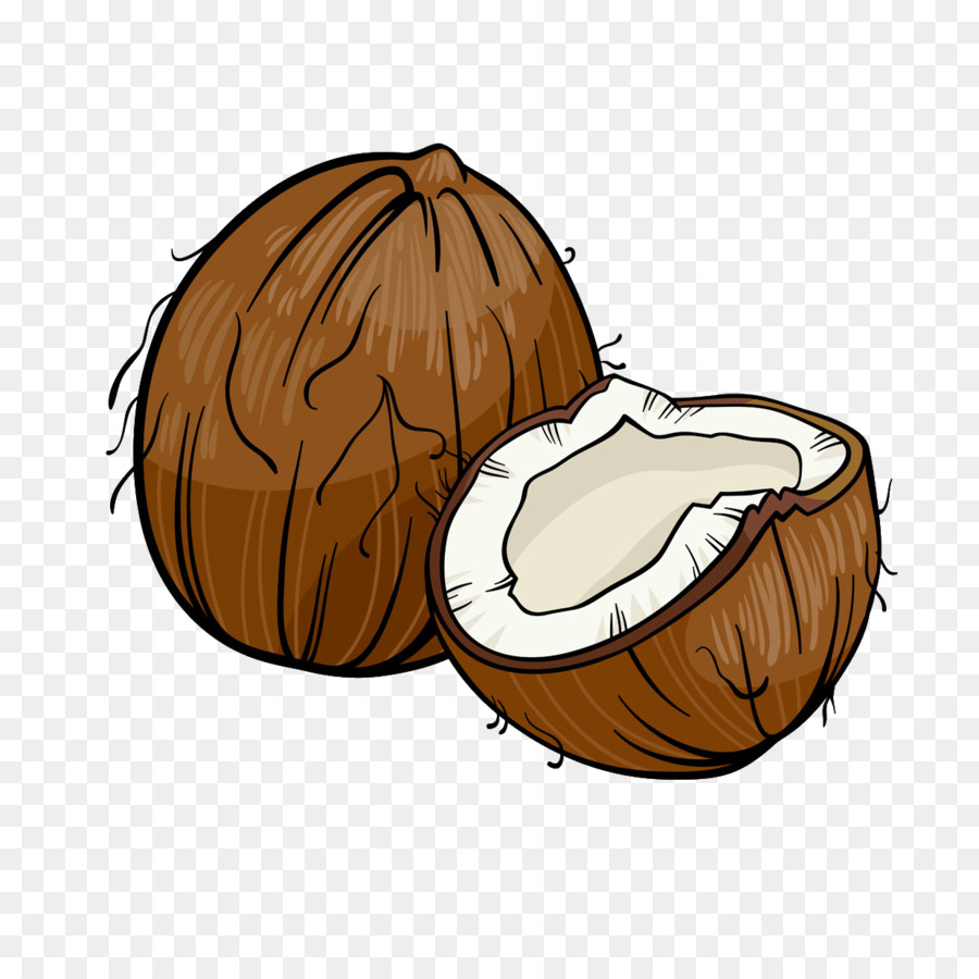 Coconut Cartoon Royalty-free Illustration - coconut png download - 1237*1212 - Free Transparent Coconut png Download.