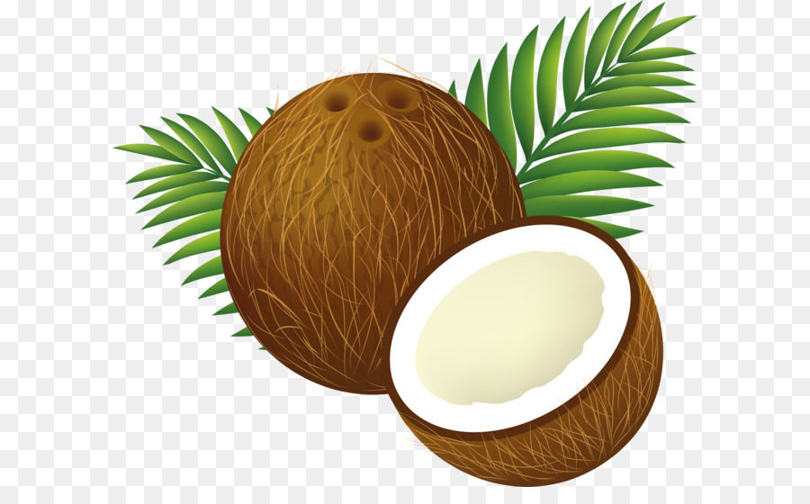 Coconut water Coconut milk Clip art - Coconut PNG image png download - 3500*2912 - Free Transparent Coconut Milk png Download.