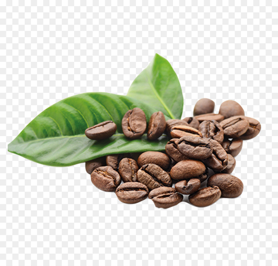 Arabica coffee The Coffee Bean & Tea Leaf Kona coffee - beans png download - 850*850 - Free Transparent Coffee png Download.