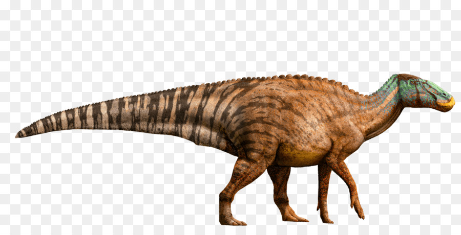 Edmontosaurus Gallimimus Tyrannosaurus Dinosaur Jurassic Park - jurassic world png download - 1095*540 - Free Transparent Edmontosaurus png Download.