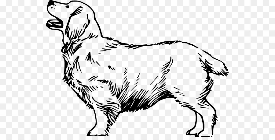 Drawing Dogs Beagle Clip art - cocker spaniel clipart png download - 600*451 - Free Transparent Drawing png Download.