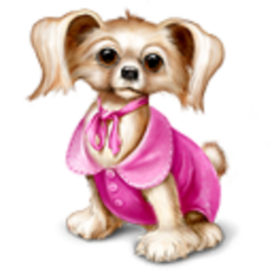Dog Heartworm Cat Pet - dogs png download - 1024*1024 - Free Transparent Dog png Download.
