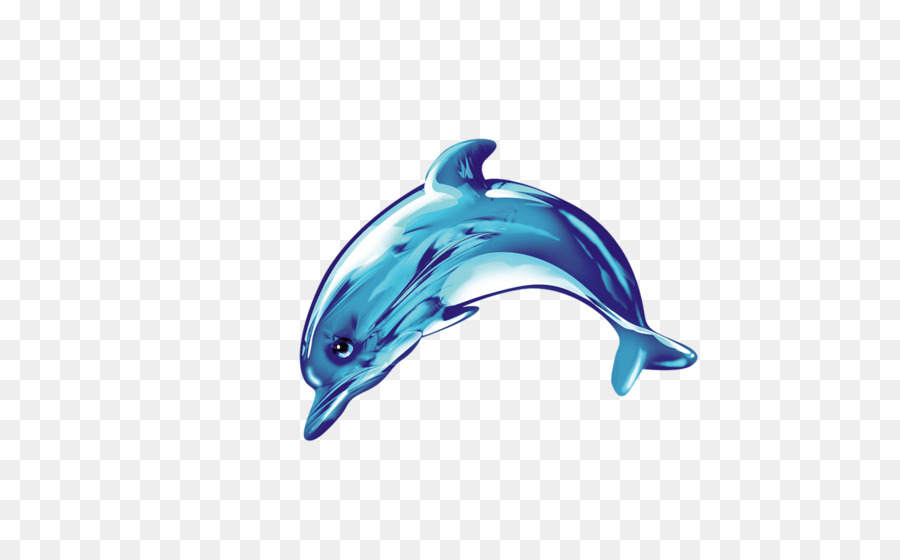Common bottlenose dolphin Icon - Cute dolphin png download - 1181*718 - Free Transparent Common Bottlenose Dolphin png Download.