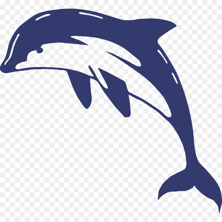 Wall decal Sticker Dolphin - dolphin transparent png download - 1000*1000 - Free Transparent Wall Decal png Download.